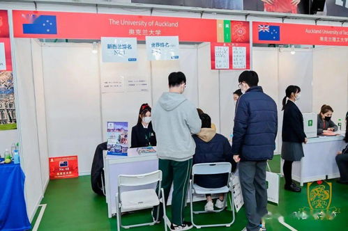 第十六屆楓葉國際教育博覽會上海站圓滿落幕，精準教育咨詢服務助力學子揚帆海外