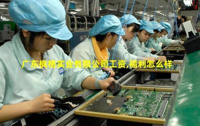 廣東楓格實業 專注針紡織品及原料銷售的專業供應商